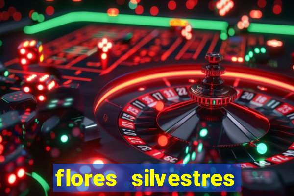 flores silvestres desbravadores desbravadores 25